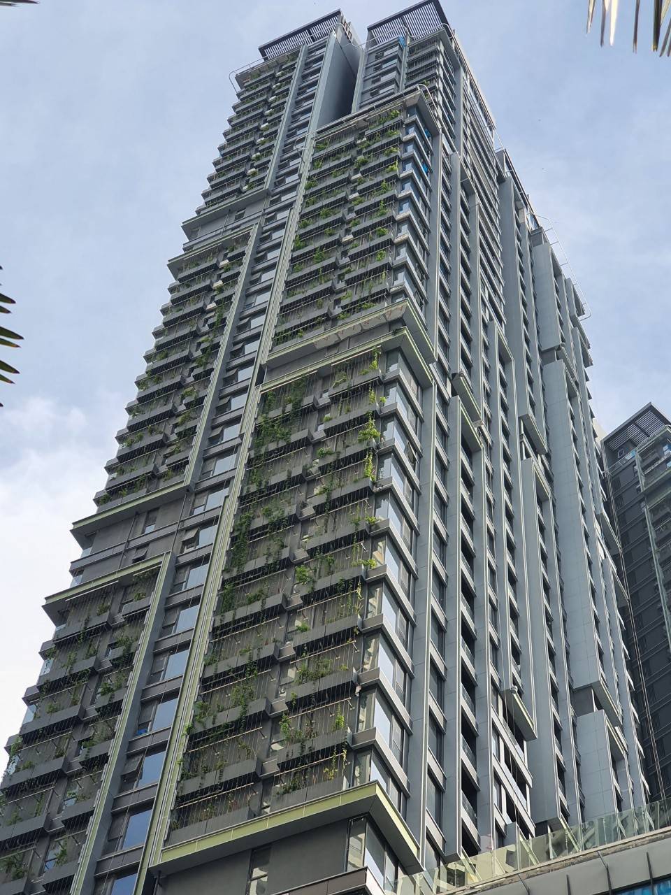 VietGRC Dự Án Thực Tế